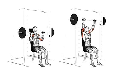Barbell Overhead Press