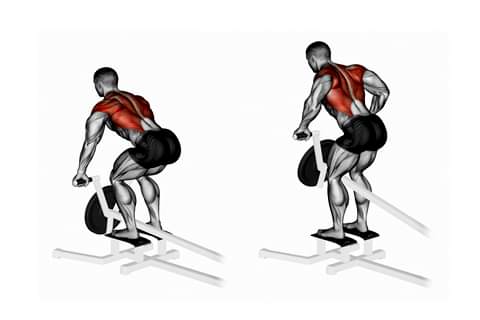 Bend Over Rows At T-bar