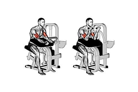 Biceps Presses On Machine