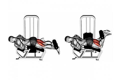 Hamstring Curl Machine