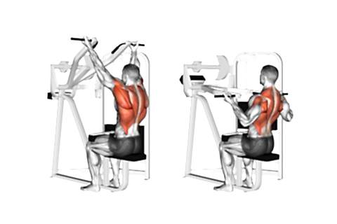 Pull Downs On A Cable Chest Workout