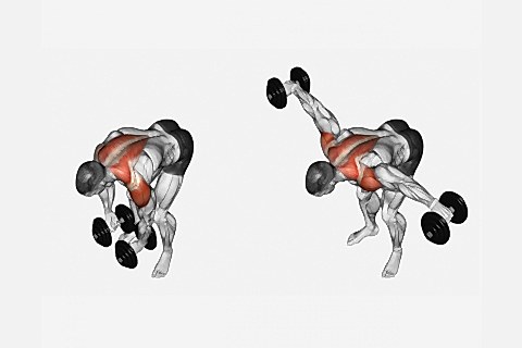 Shoulder Bent Over Lateral Raises