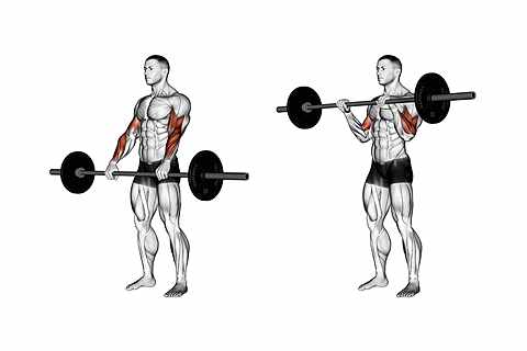 Standing Reverse Bar Curls